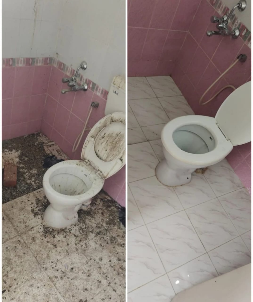 Cleaning Service 6